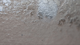 Microwürmer - Aufzuchtfutter für Jungfische