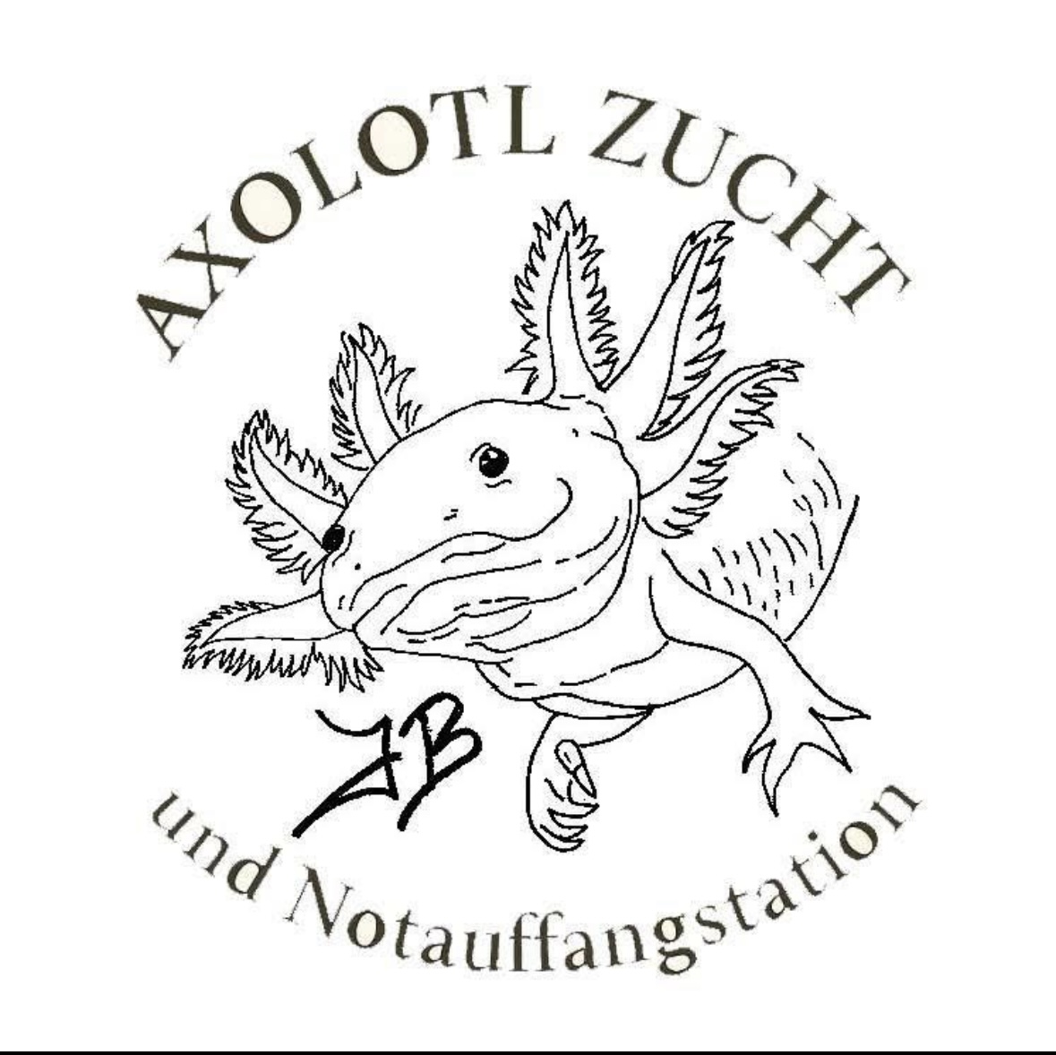 Axolotl-Freundin 