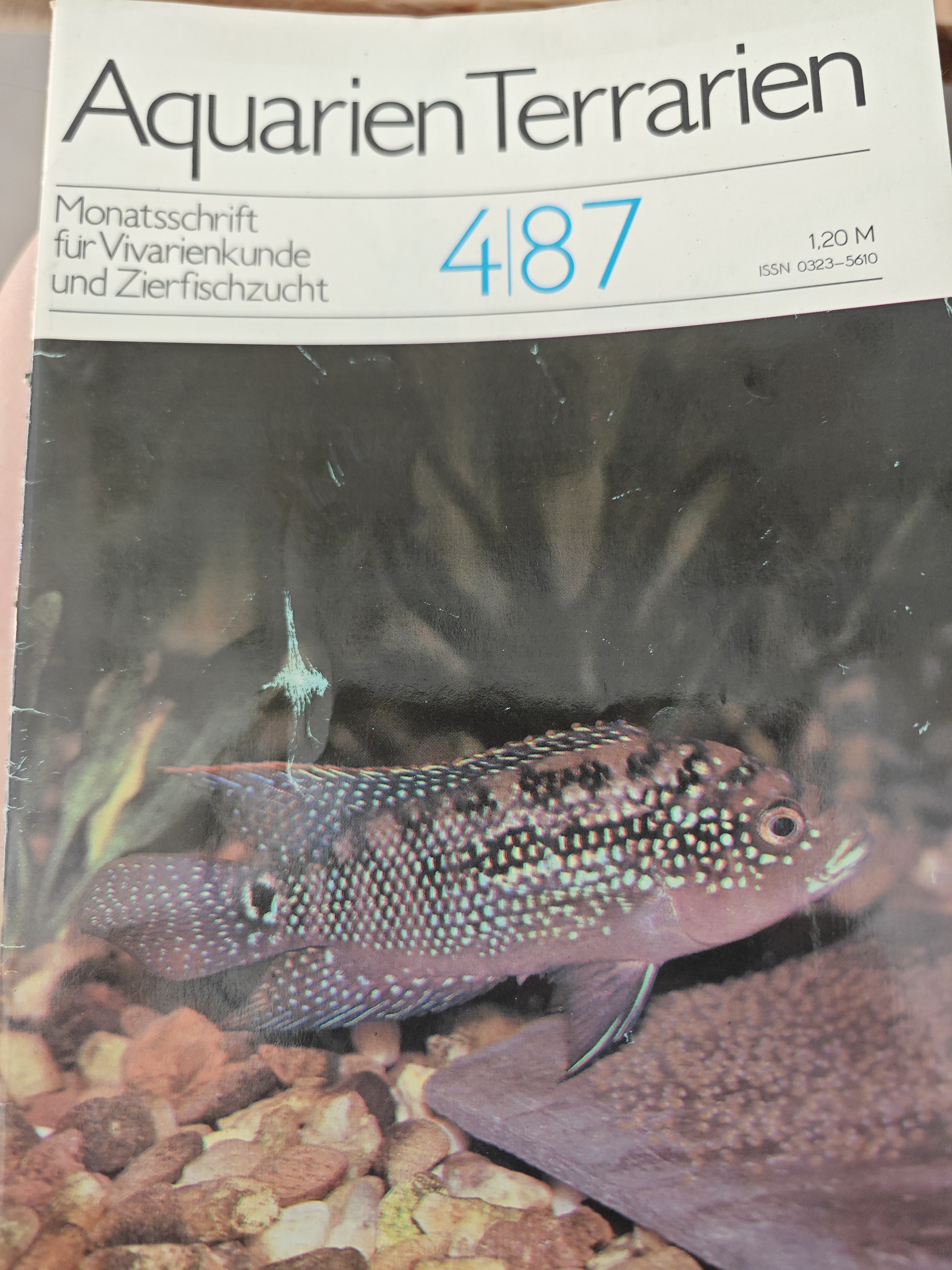 AquarienTerrarien Zeitschrift 4/87